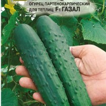 Огурец Газал
