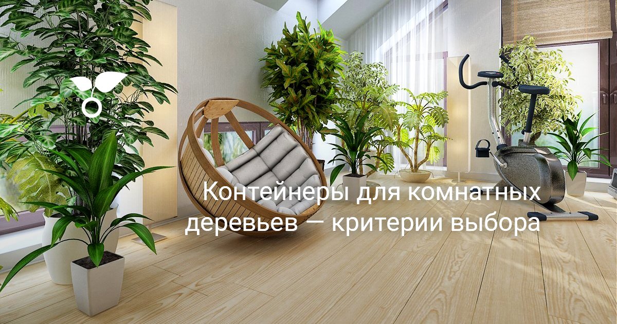 Контейнеры для комнатных деревьев — критерии выбора