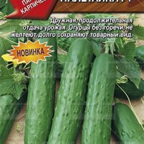 Огурец «Налетайка»