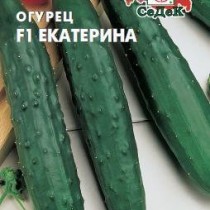 Огурец «Екатерина»