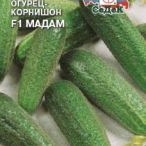 Огурец «Мадам»
