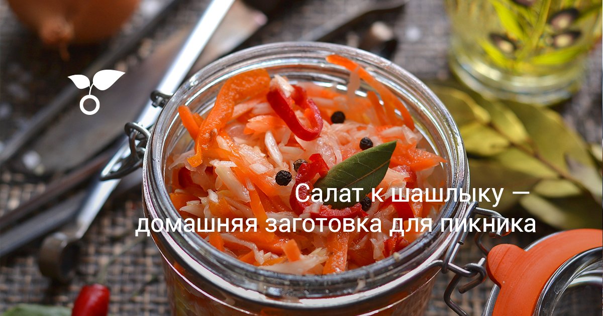 Салат к шашлыку — домашняя заготовка для пикника