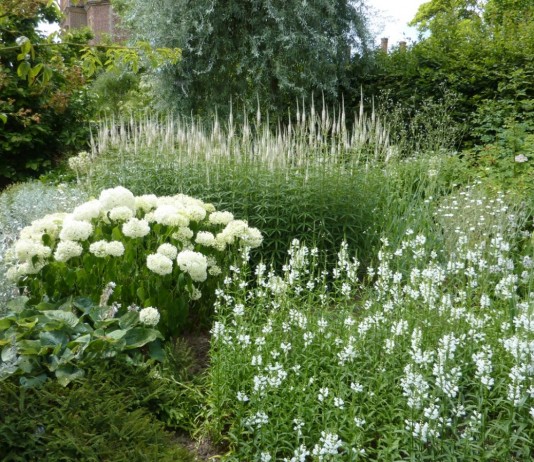 Цветник в белых тонах