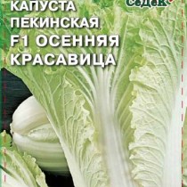 Пекинская капуста «Осенняя красавица F1»