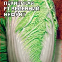 Пекинская капуста «Весенний нефрит F1»