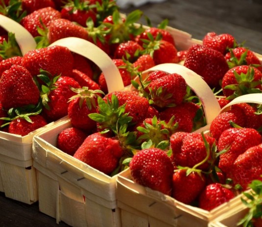 Клубника садовая