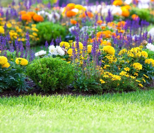 Одиночные клумбы в дизайне сада - Цветник и ландшафт Расположенные на газоне одиночные клумбы способны преобразить атмосферу сада
