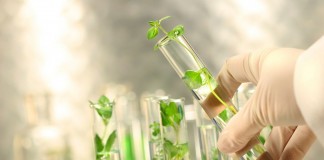 Законы наследования различных признаков были впервые обоснованы и окончательно доказаны ученым из Чехии Г. Менделем