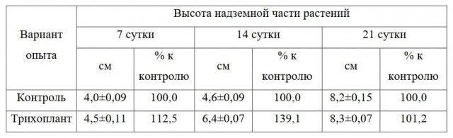 Таблица 5. Влияние биопрепарата Трихоплант на процессы роста и развития растений огурцов сорта Феникс 640 при однократной корневой обработке