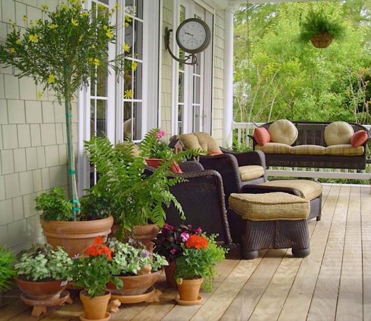 Кадочные растения при флористическом оформлении можно использовать как в единственном экземпляре, так и большими группами