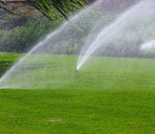 Современные системы полива значительно облегчают этот процесс для дачников