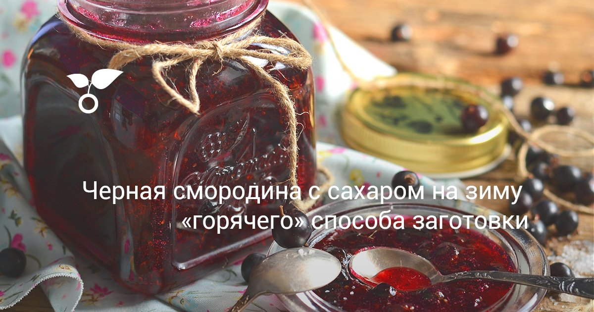 Чёрная смородина с сахаром на зиму «горячего» способа заготовки