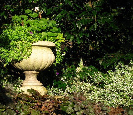 10 способов добавить света в тенистые уголки сада