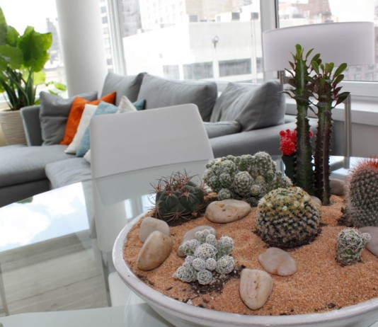 Сад камней в интерьере — особенности создания и выбор растений