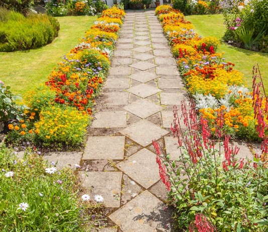 Цветник на солнцепёке — нюансы создания и выбор растений - Цветник и ландшафт Цветник на солнцепёке — нюансы создания и выбор растений