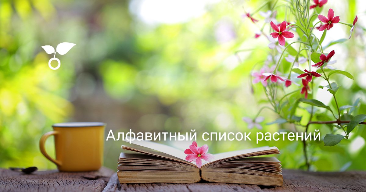 Алфавитный список растений