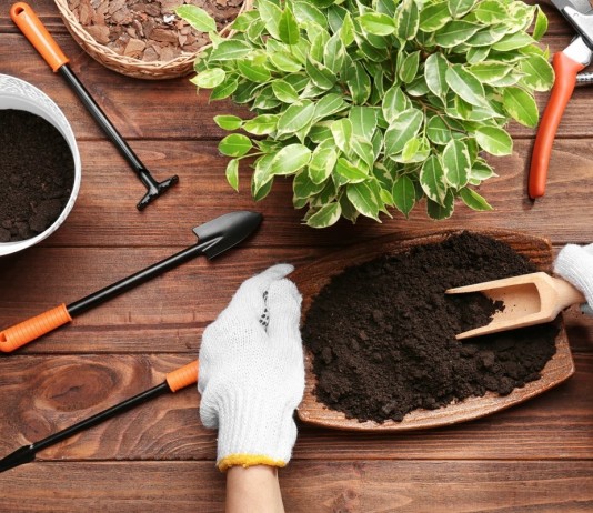 Разные растения в естественных условиях растут в разных по составу грунтах