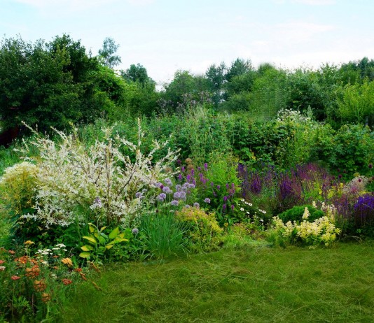 Экономный цветник своими руками