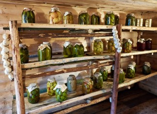 Как убрать сырость и сопутствующую ей плесень в местах хранения