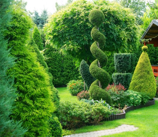 Цветник с хвойными растениями