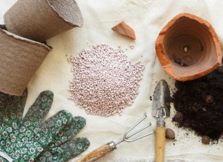 Чтобы комнатные растения долго украшали интерьер квартиры им необходимо дополнительное питание