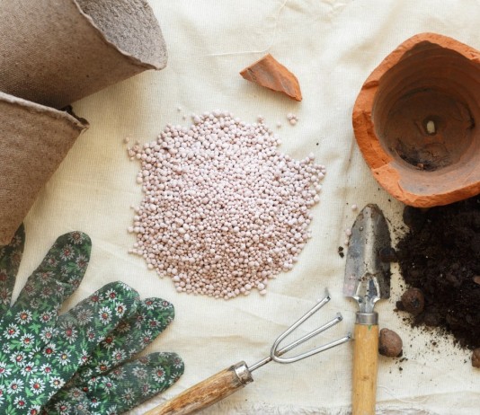 Выбираем удобрения для комнатных растений - Комнатные растения Чтобы комнатные растения долго украшали интерьер квартиры им необходимо дополнительное питание