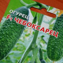 Огурец «Чебоксарец F1» Огурец «Чебоксарец F1»