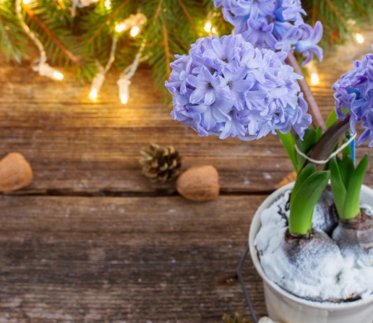 Простые идеи украшения интерьера к Новому году