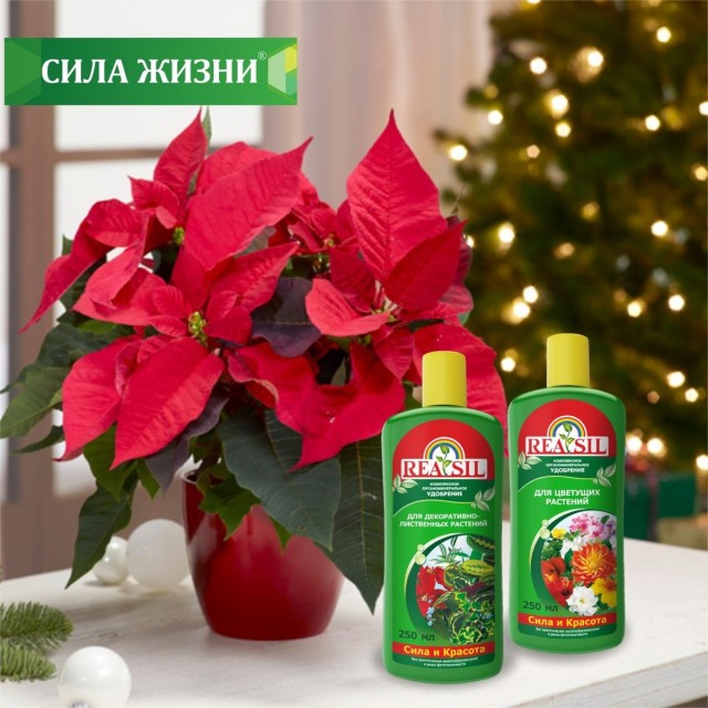Комплексное органоминеральное удобрение «REASIL®»