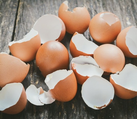 Яичная скорлупа — ваш незаменимый помощник на даче - Цветник и ландшафт Яичная скорлупа — ваш незаменимый помощник на даче