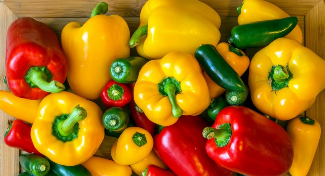 12 самых вкусных сортов и гибридов сладкого перца, которые я выращивала