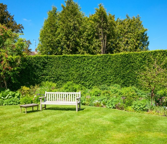 Как защитить участок от ветра, или Создаём ветрозащитные посадки - Цветник и ландшафт Как защитить участок от ветра, или Создаём ветрозащитные посадки