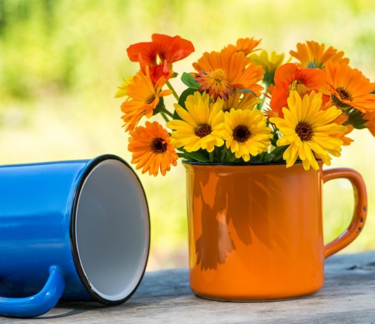 Календула — декоративная, лекарственная и пряная - Цветник и ландшафт Календула — декоративная, лекарственная и пряная