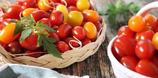 Рейтинг сортов и гибридов томатов черри, которые я выращивала