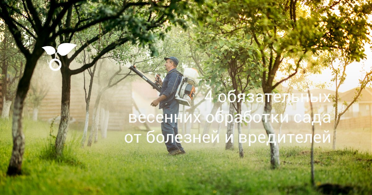 4 обязательных весенних обработки сада от болезней и вредителей