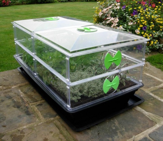 Пропагатор — домашняя мини-теплица для рассады и черенков