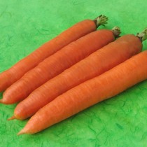 Морковь «Олимпус»