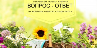 «Вопрос-ответ» — новая рубрика об удобрениях Буйского завода