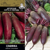 Свёкла сорт «Славянка»