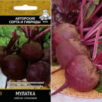 Свёкла сорт «Мулатка»