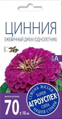 Цинния «Ежевичный джем»