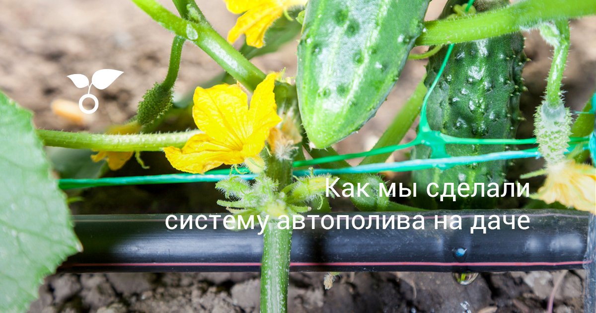 Как мы сделали систему автополива на даче
