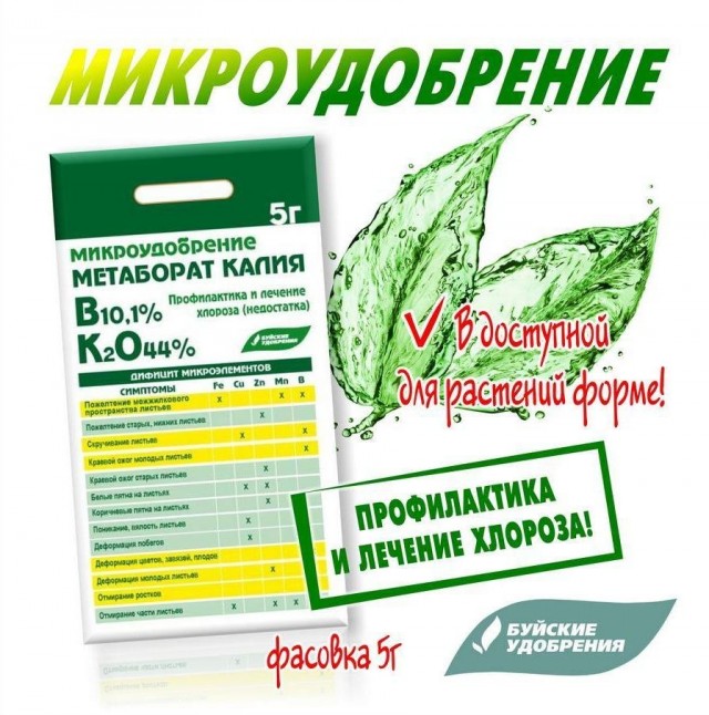 Метаборат калия избавит ваши растения от хлороза