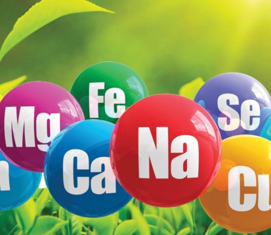 Всё, что вам нужно знать о хелатных удобрениях