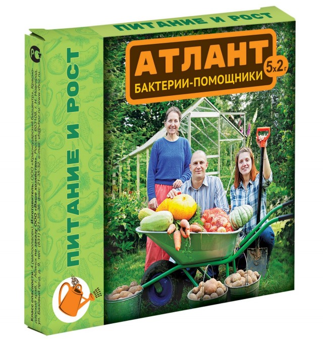 Атлант ПИТАНИЕ И РОСТ, 5*2г
