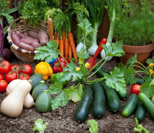 «Добавка микроэлементная удобрительная» — полноценное питание ваших растений