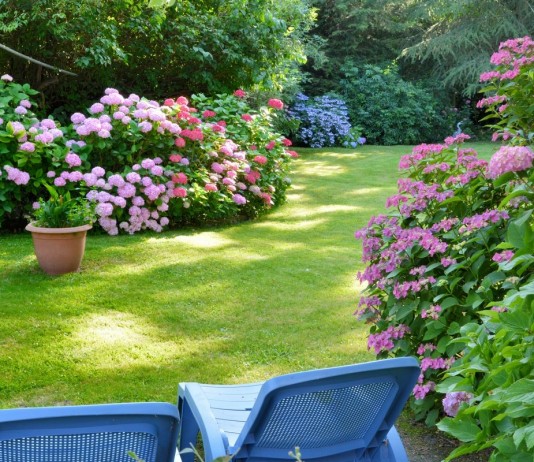 6 главных правил малоуходного сада от ландшафтного дизайнера