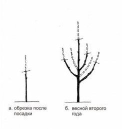 images_cms-image-000052691