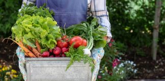 Как повысить плодородие почвы без навоза и минеральных удобрений?