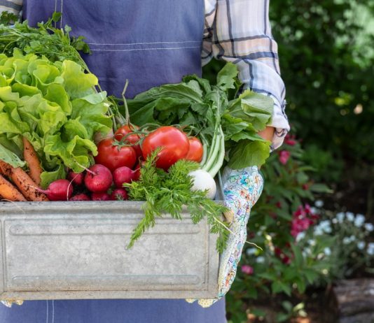 Как повысить плодородие почвы без навоза и минеральных удобрений?